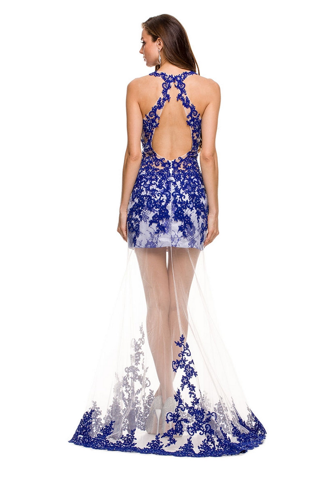  Sheer Illusion Lace Prom Dress By Nox Anabel