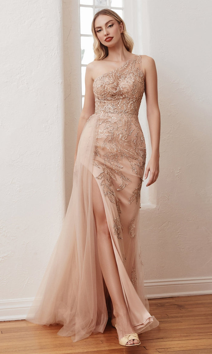 Rose Gold Ladivine Long Formal Dress CB098