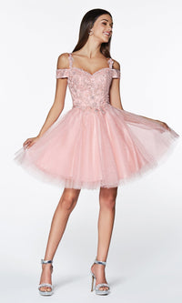 Blush Ladivine Short Party Dress CD0132