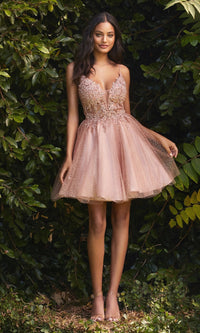 Blush Ladivine Short Party Dress CD0189