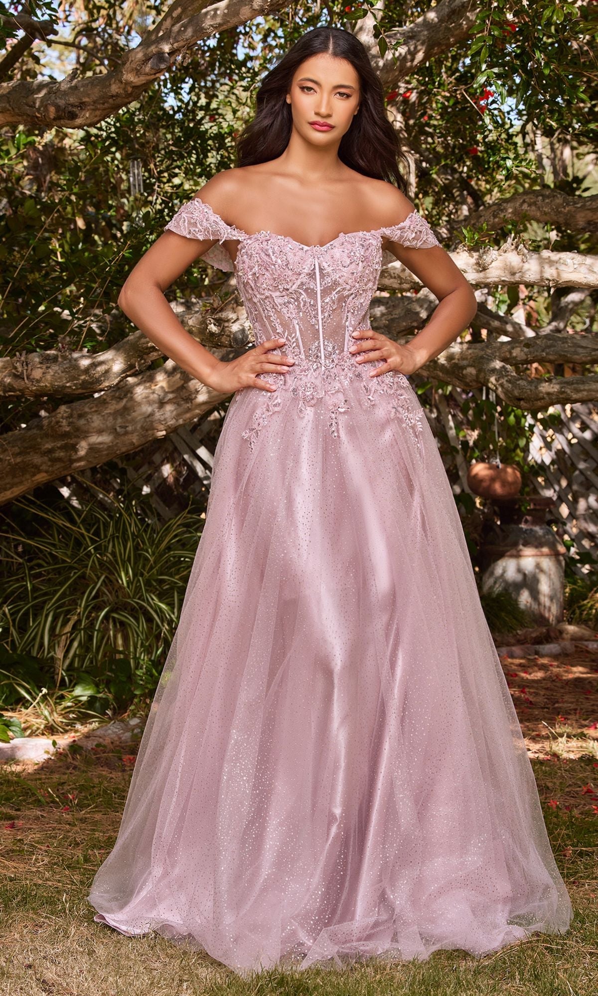 Ladivine Dress CD0198, Formal Evening Gown Ladivine Dress CD0198, Formal Evening Gown