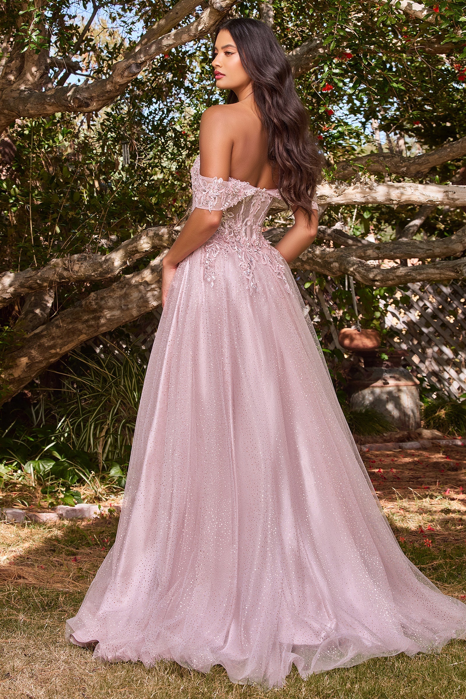 gown dress gown Ladivine Dress CD0198, Formal Evening Gown