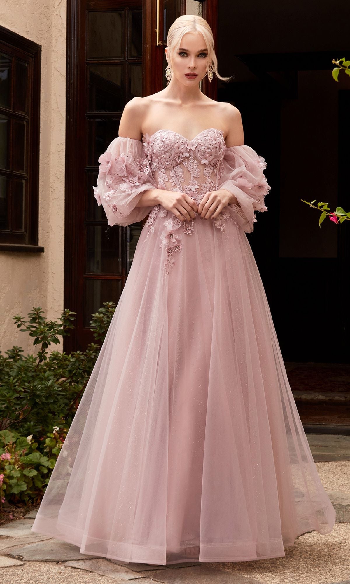 Ladivine Dress CD962 Formal Evening Gown
