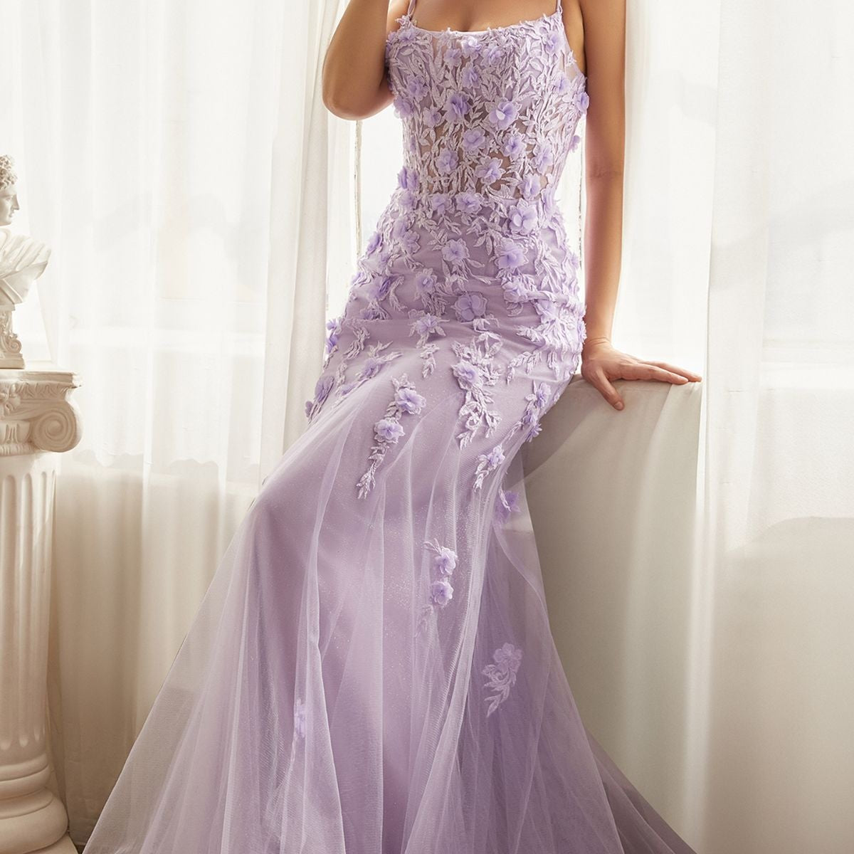 Ladivine Dress CD995, Formal Evening Gown