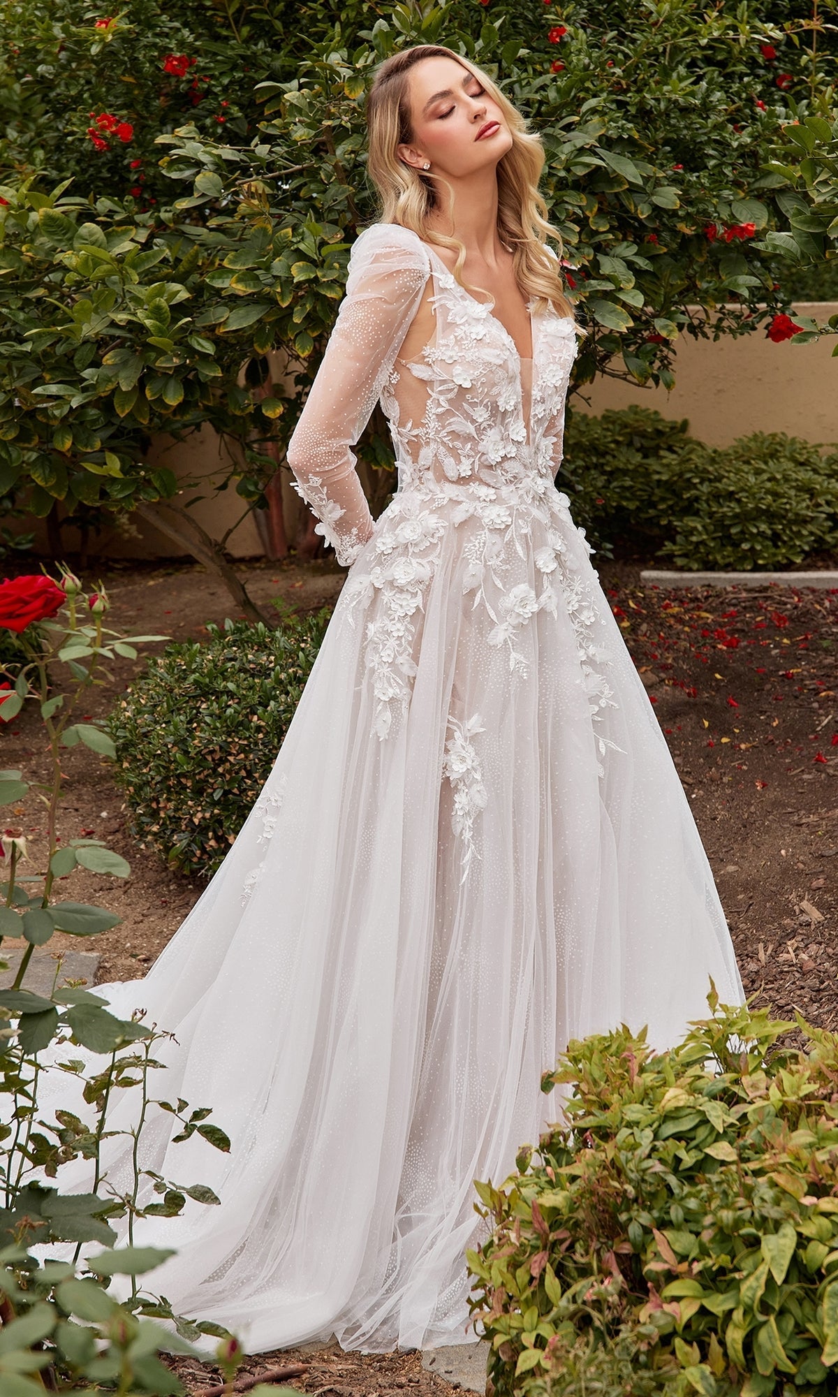 Ladivine CDS436W - Marlas Fashions Ladivine CDS436W - Marlas Fashions
