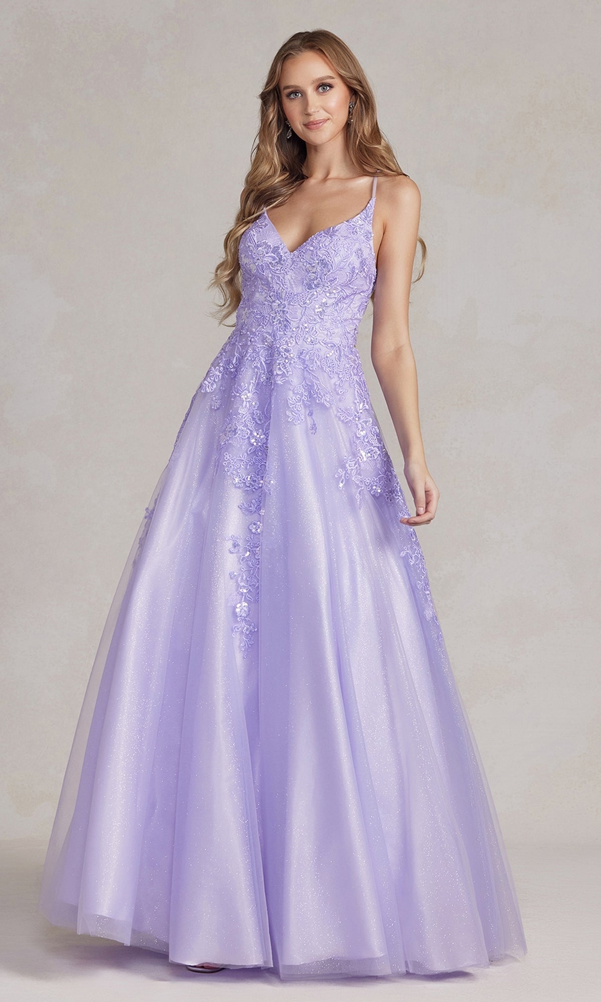 Lilac Tulle A-line V Neckline Backless Applique Long Prom Dress –  Dreamdressy