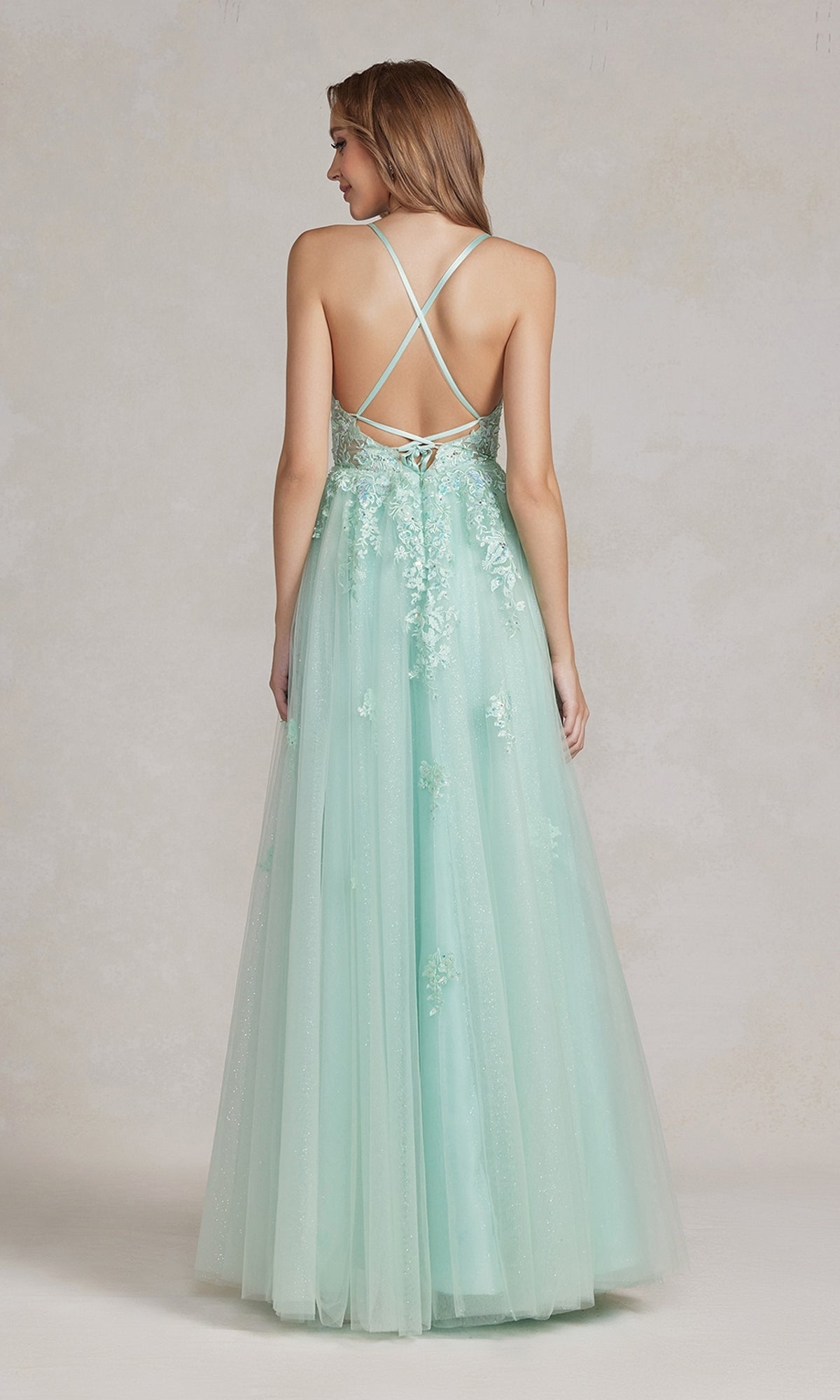 Sheer-Corset Long Embroidered A-Line Prom Dress