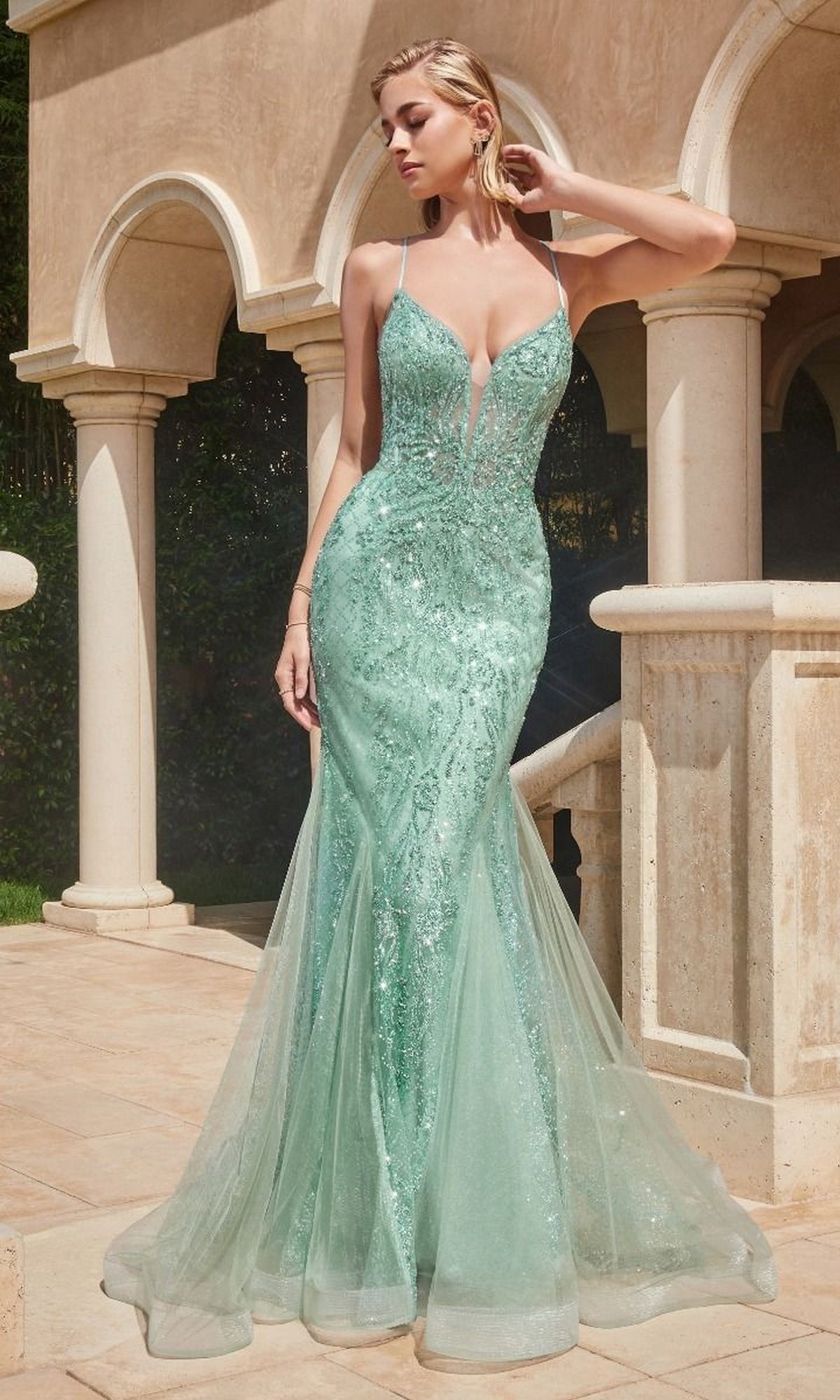 Sage Long Formal Dress CC2253 by Ladivine