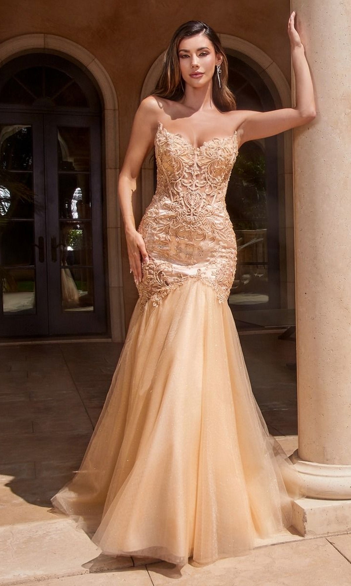 Champagne Formal Long Dress CDS482 By Ladivine