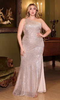 Platinum Long Formal Dress CH077C by Ladivine
